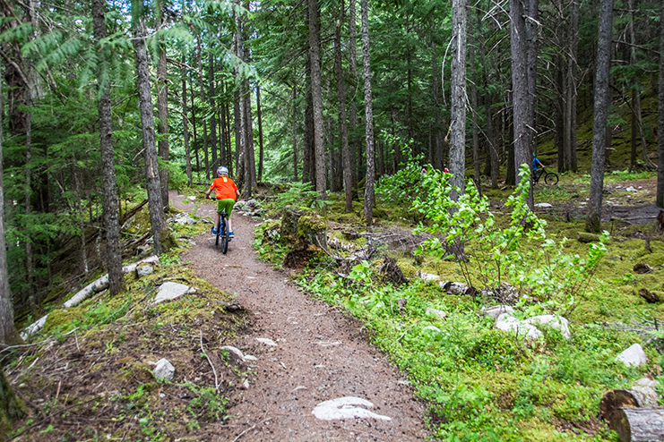 A person cycling along a winding dirt trail in the forest