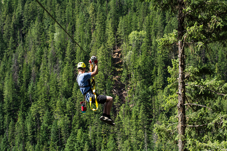 A man ziplining above a background awash with evergreen trees