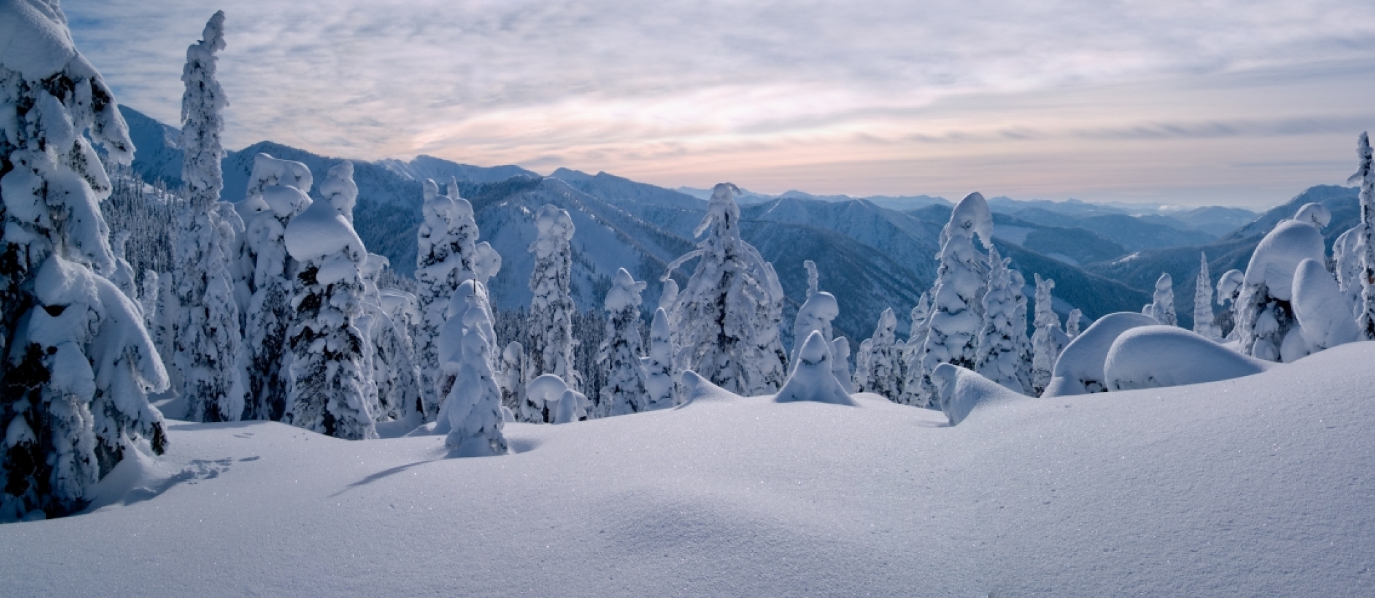 Snow-capped trees set amongst mountains at sunset