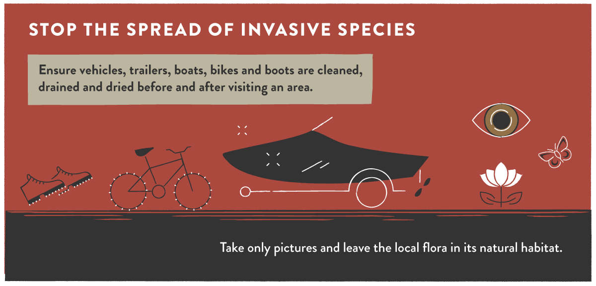 Stop the spread of invasive species.
