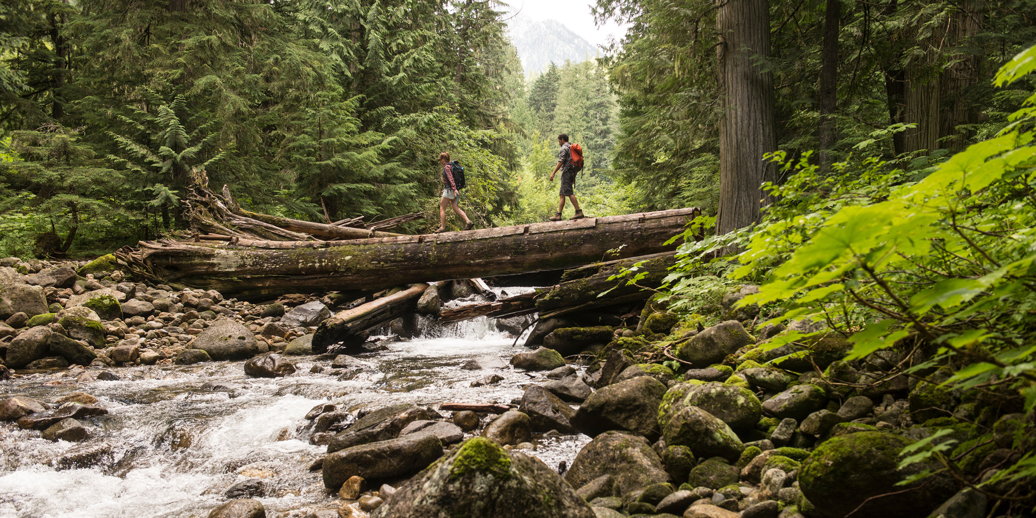 hiking through lush forest over a creek.