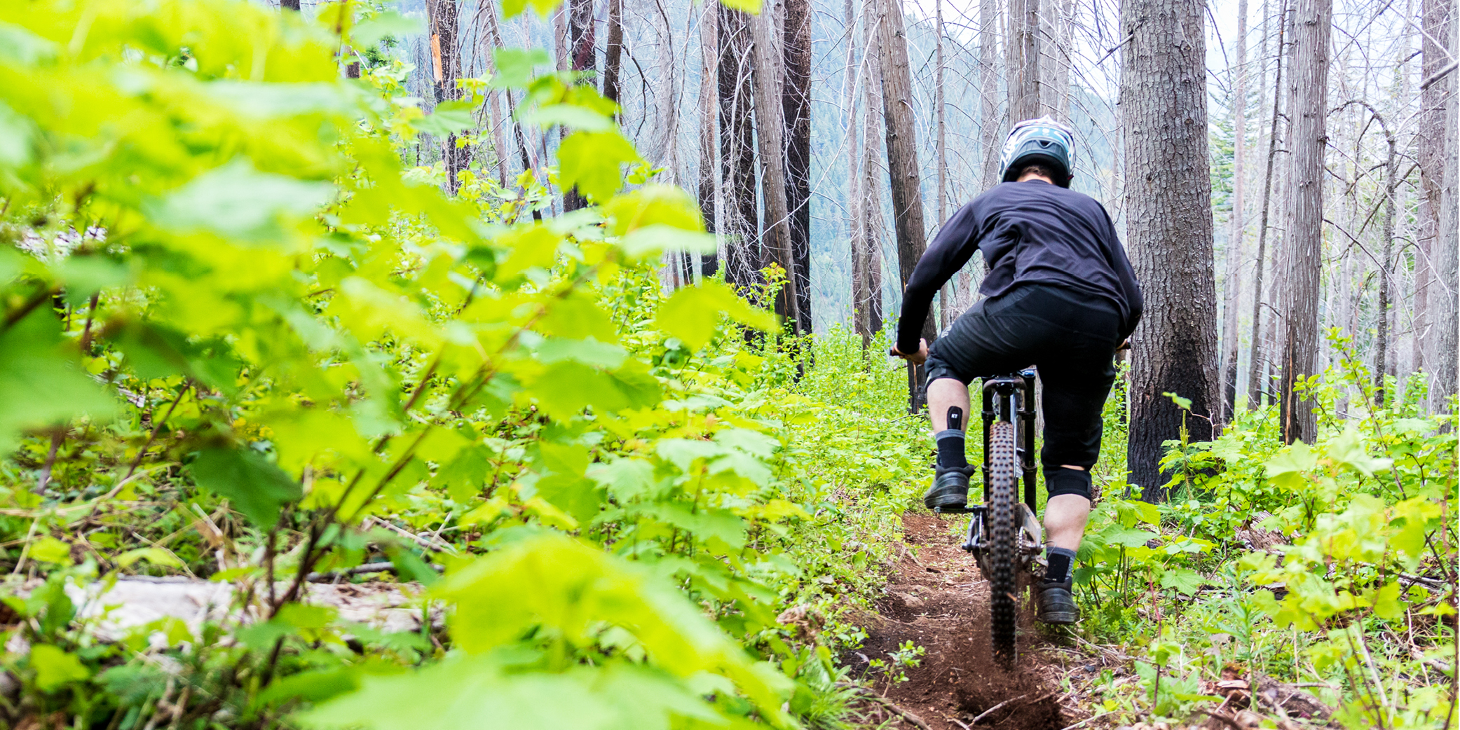 Person mountain biking through a lush forest in Kootenay Lake.