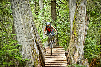nelson bike trail