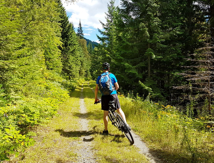 A beautiful section of the Trans-Canada Trail above Nelson