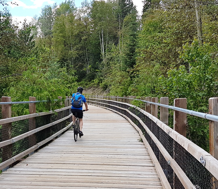 Several bridges to cross en route to Cottonwood Lake