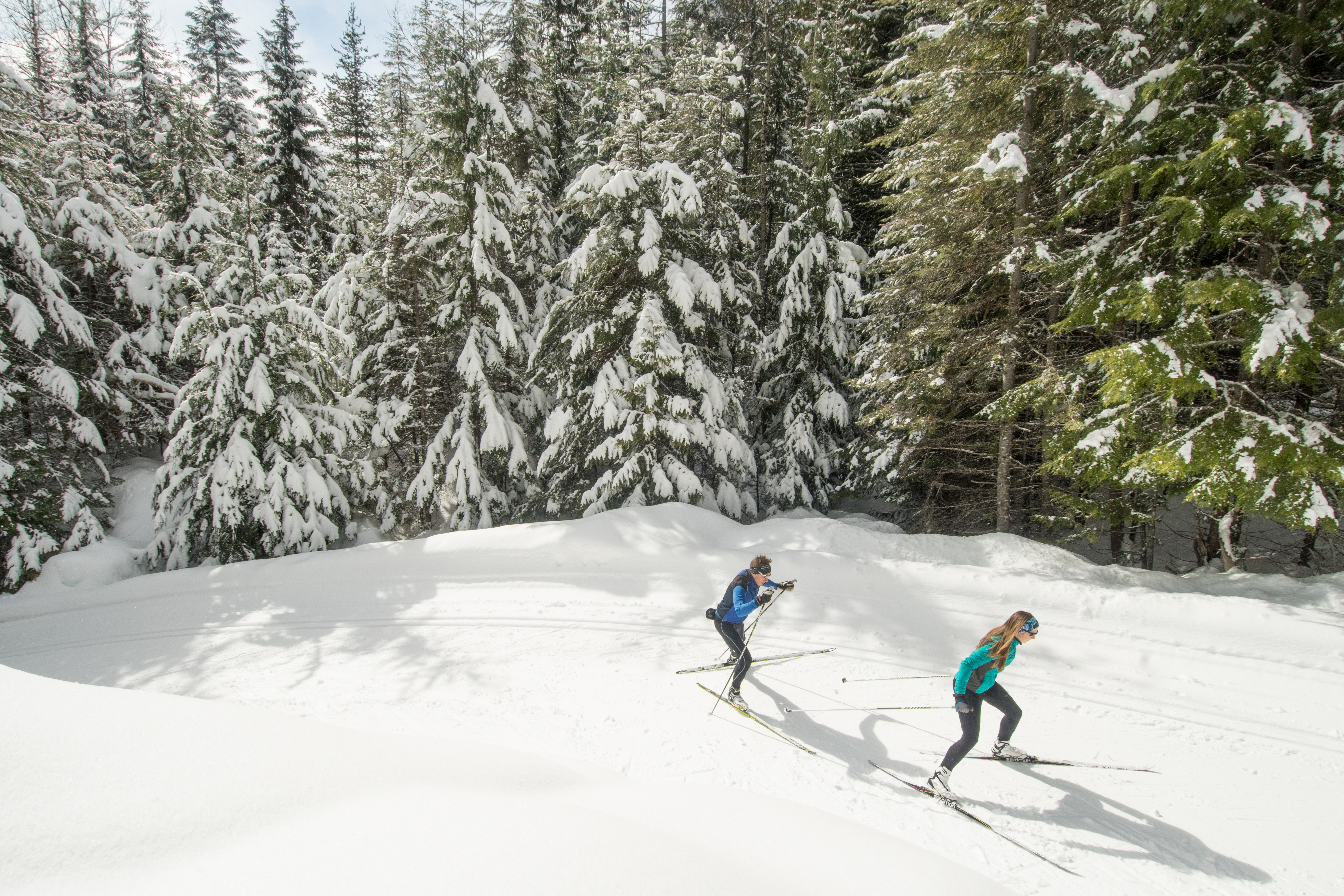 Nordic Skiing Nelson Kootenay Lake Tourism