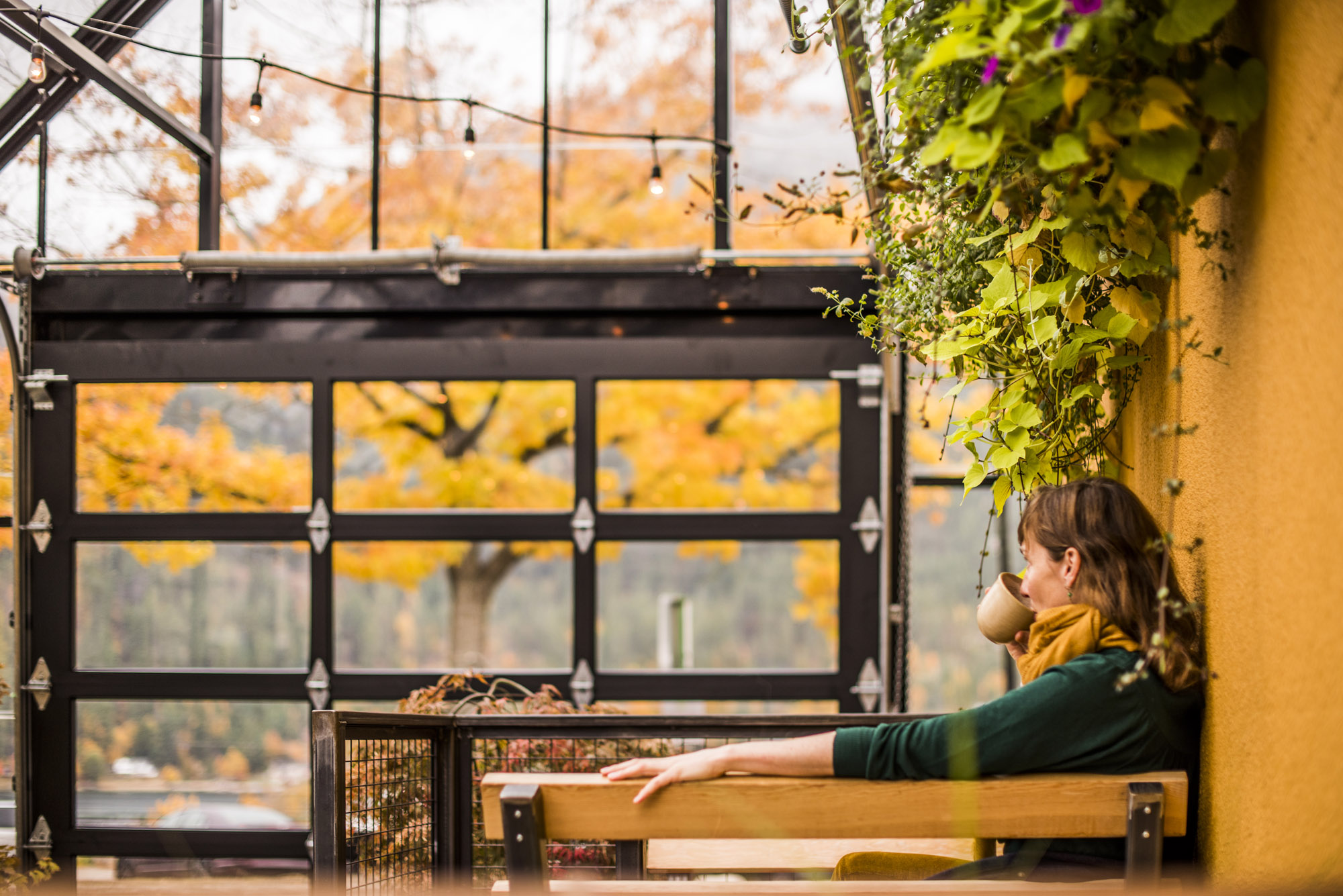 Coffee Shops in Nelson and Kaslo BC Discover Our Brews