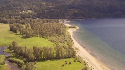Aerial view of wetlands, cottonwood forest and Kootenay Lake, BC