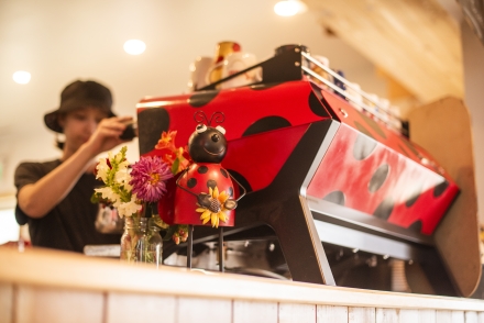 Ladybug cafe interior
