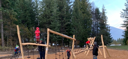 Children playing on a climbing frame structure at Rosemont Park