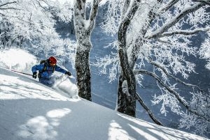 Alpine Inn skier photo