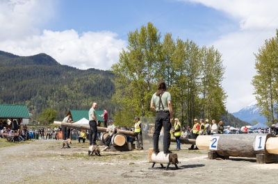 People standing on logs with axes preparing to participate in the Kaslo Logger Sports