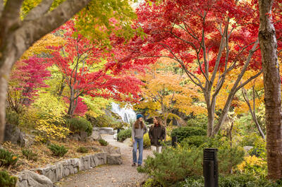 Two girls walking amongst the fall colours in Cottonwood Falls Park.
