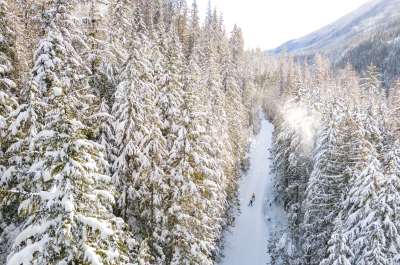 Two people cross country skiing in Kaslo BC surrounded by trees.