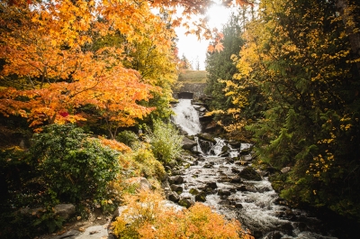 Cottonwood Falls flowing surrounded in vibrant fall colours on the trees in Nelson, BC