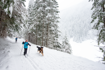 A kid and his dog cross country skiing.