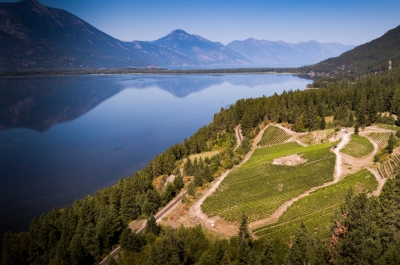 An aerial view of Wynnwood Cellars in Wynndel, BC