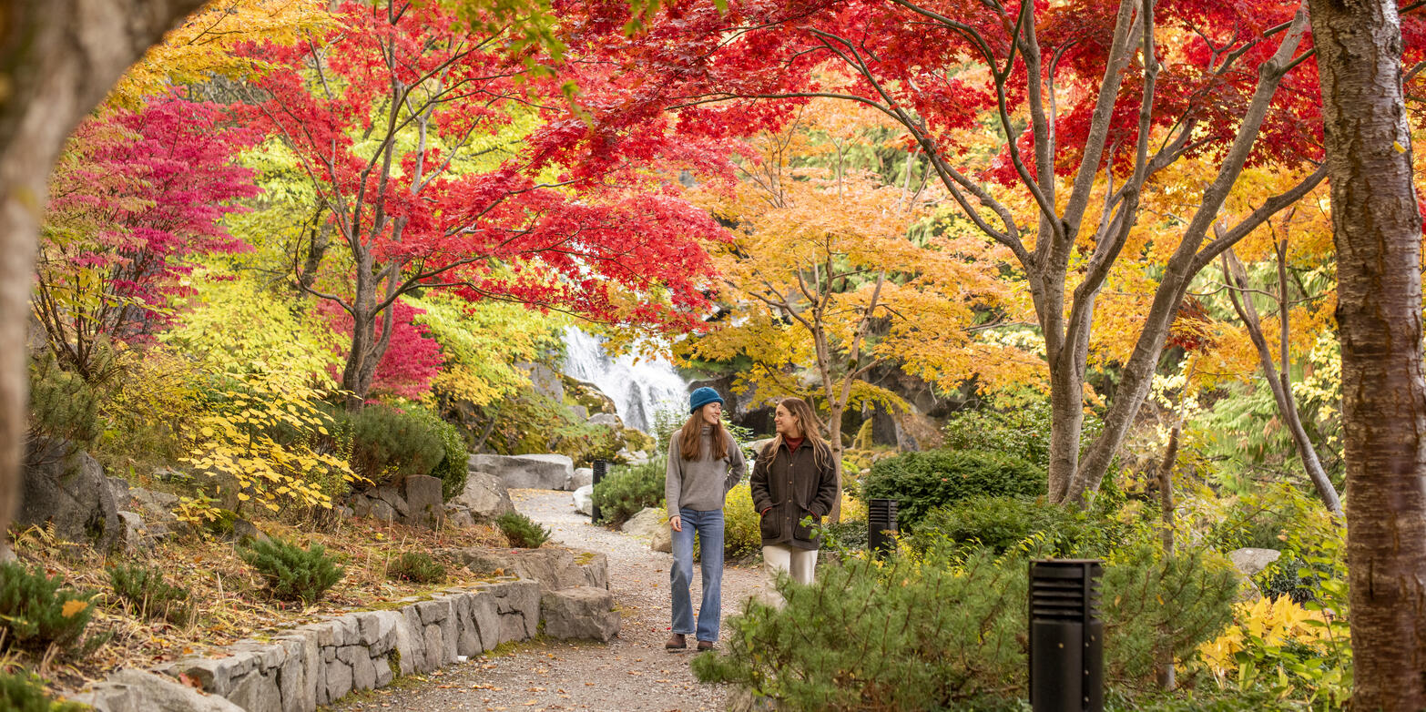 Two girls walking amongst the fall colours in Cottonwood Falls Park.