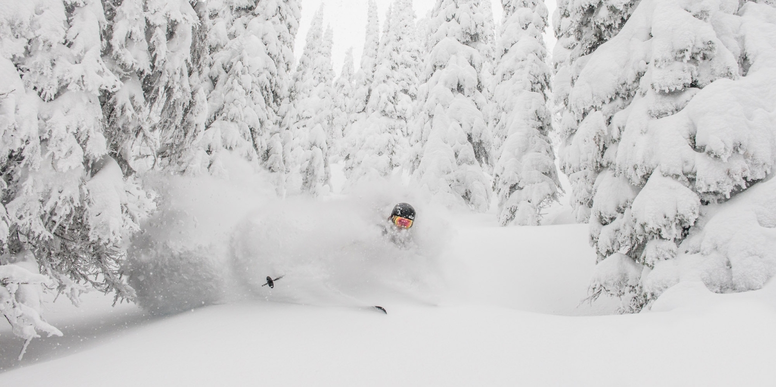 Kari Medig A skiier in deep powder at Whitewater Ski Resort near Nelson, BC.