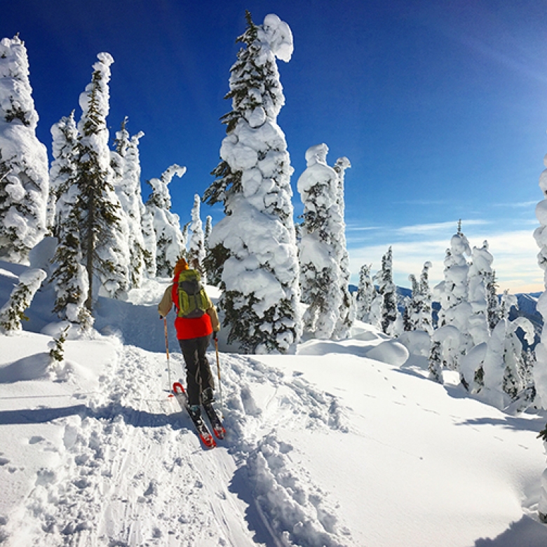 A person ski touring on a sunny day on Powder Highway, BC