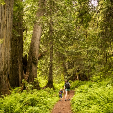 A mother and child on the trail in an old growth forest.