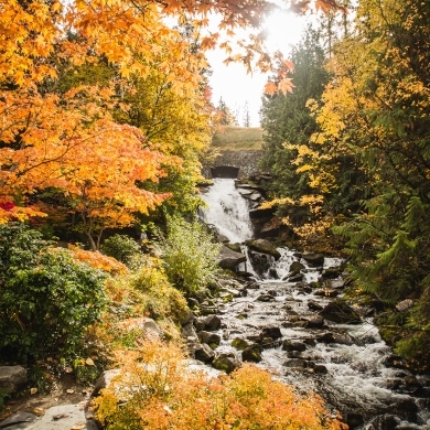 Cottonwood Falls flowing surrounded in vibrant fall colours on the trees in Nelson, BC