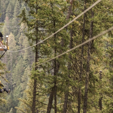  Kokanee Mountain Zipline