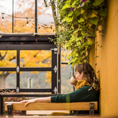 Someone sipping coffee in the solarium at Empire Coffee in Nelson, BC.