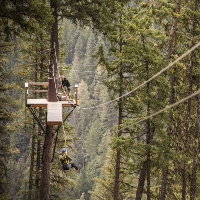 A person zip lining through the trees at Kokanee Mountain Zipline in Nelson, BC.