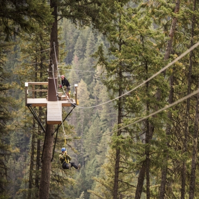 A person zip lining through the trees at Kokanee Mountain Zipline in Nelson, BC.
