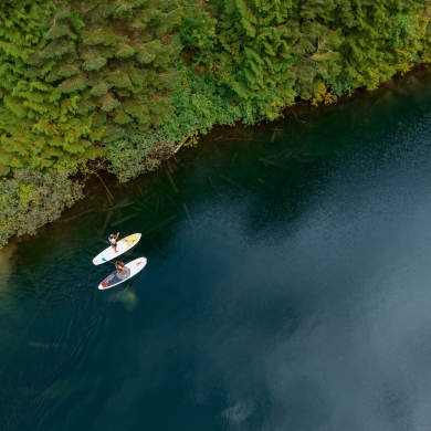 Two people on stand up paddle boards, paddling along the shoreline of Cottonwood Lake.