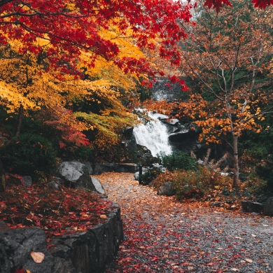 Beautiful fall colours with waterfall.