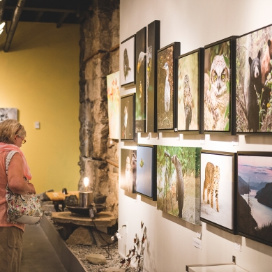 Several people looking at art hung on the walls of Craft Connection Gallery during Nelson, BC Artwalk