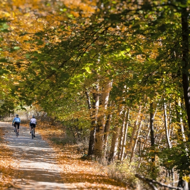 Two cyclists on a back road near Nelson, BC surrounded by trees. 