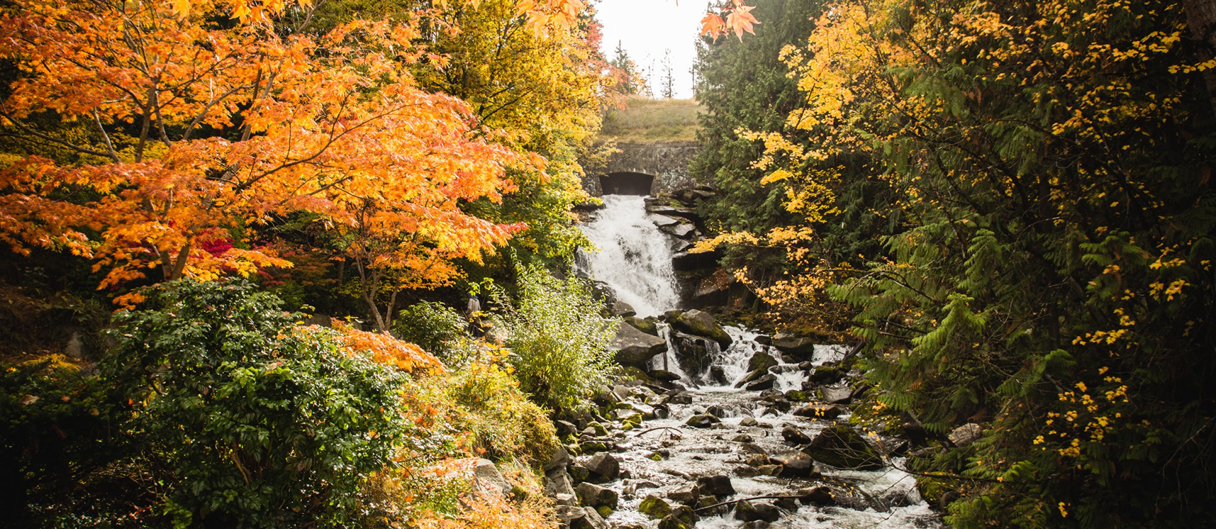 Cottonwood Falls flowing surrounded in vibrant fall colours on the trees in Nelson, BC