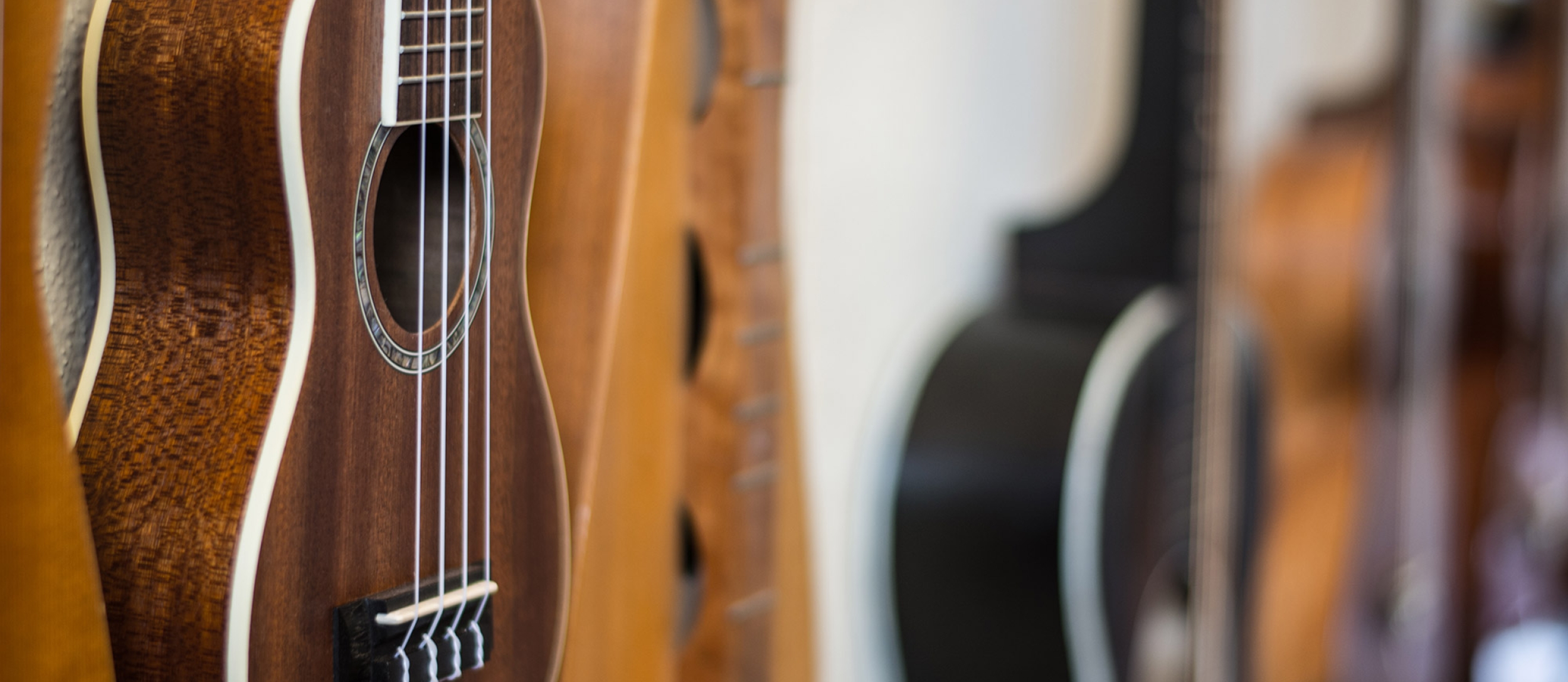 Various guitars hanging on the walls of Mountain Fruit Folklore Centre - a music store in Kaslo, BC