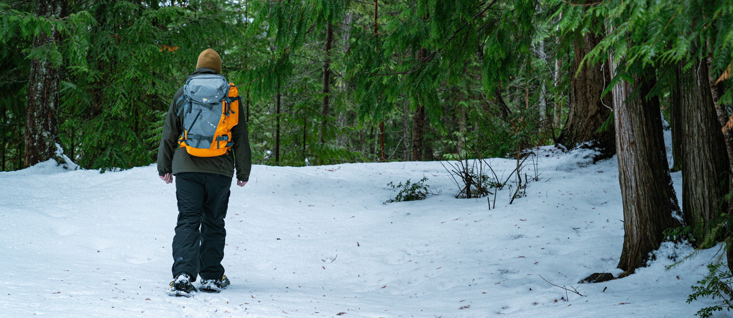 Explore the best snowshoeing in BC in Nelson, BC