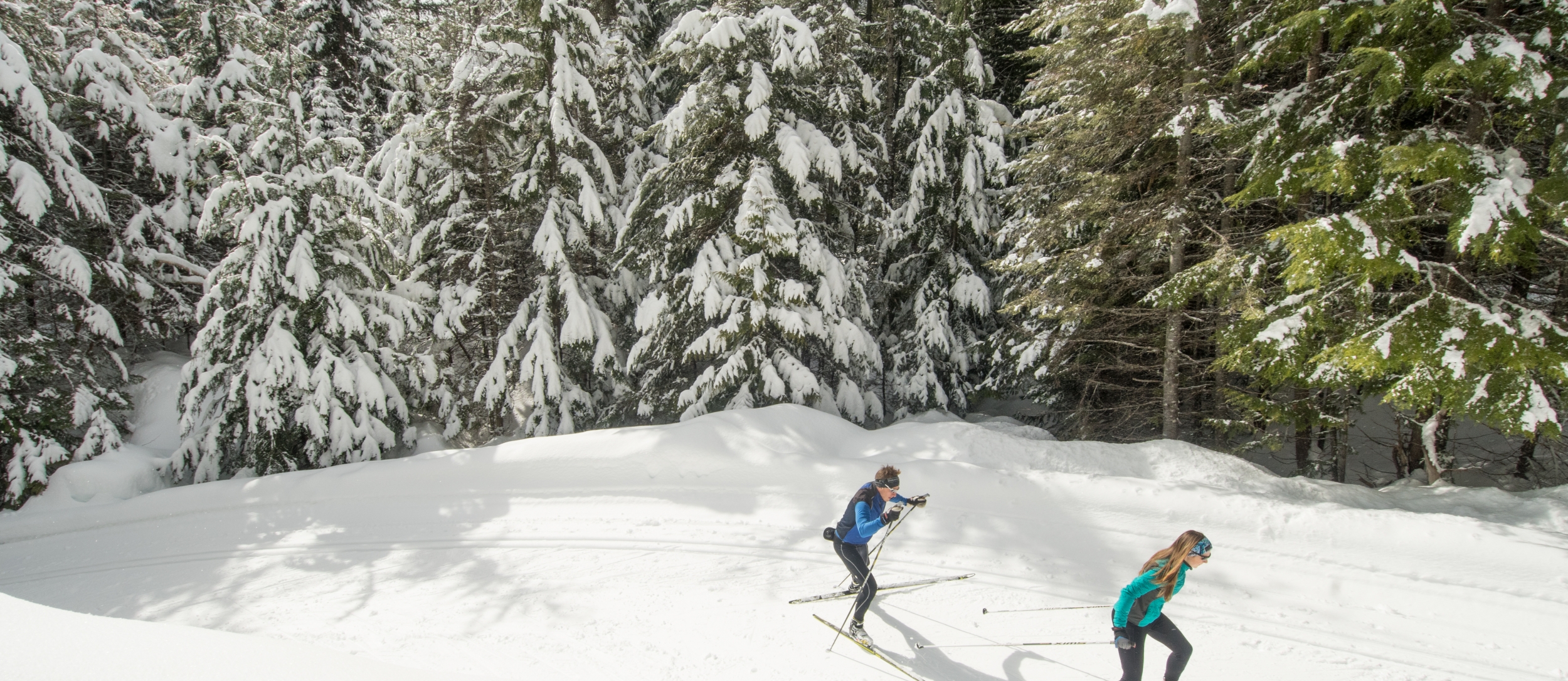Experience the Expansive Trails for Cross Country Skiing in BC