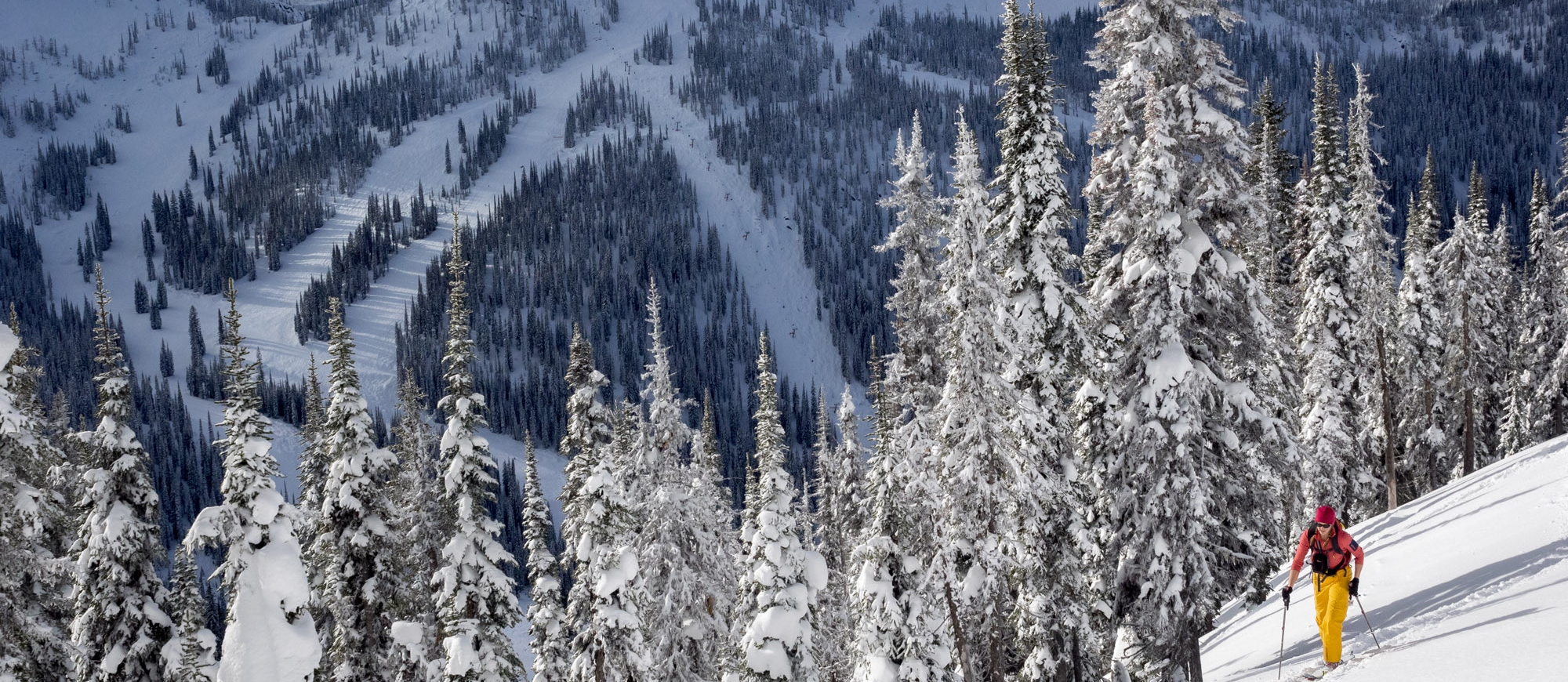 A person ski touring in the backcountry near Whitewater Ski Resort.