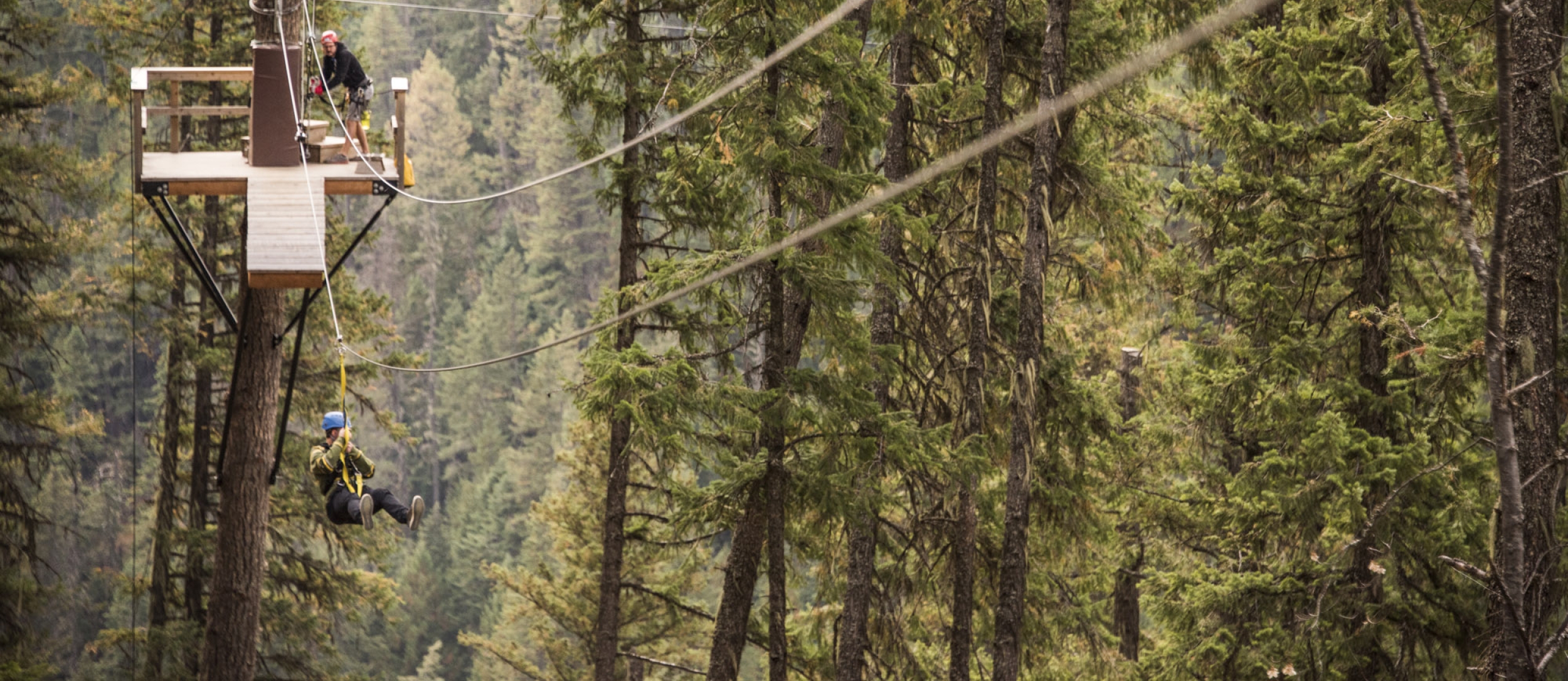 A person zip lining through the trees at Kokanee Mountain Zipline in Nelson, BC.