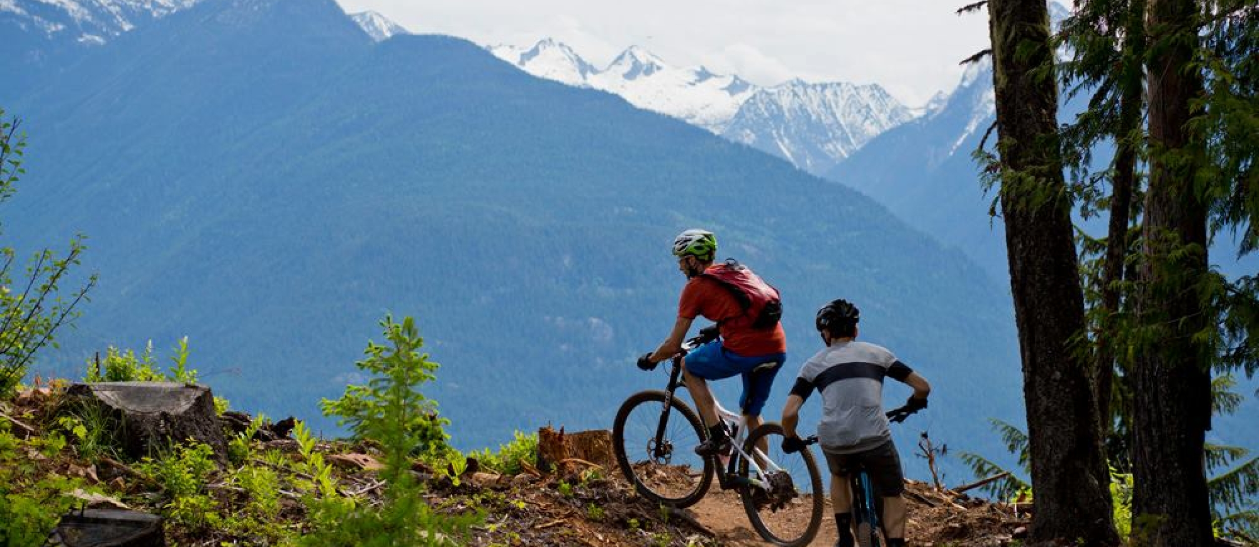 Two mountain bikers