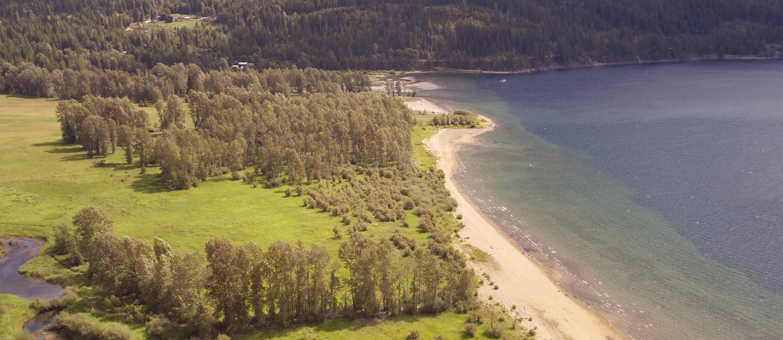 Aerial view of wetlands, cottonwood forest and Kootenay Lake, BC