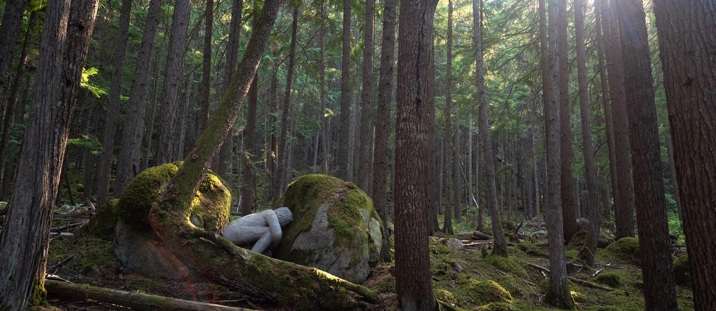 A concrete sculpture hiding in the forest along the Kaslo River Trail.