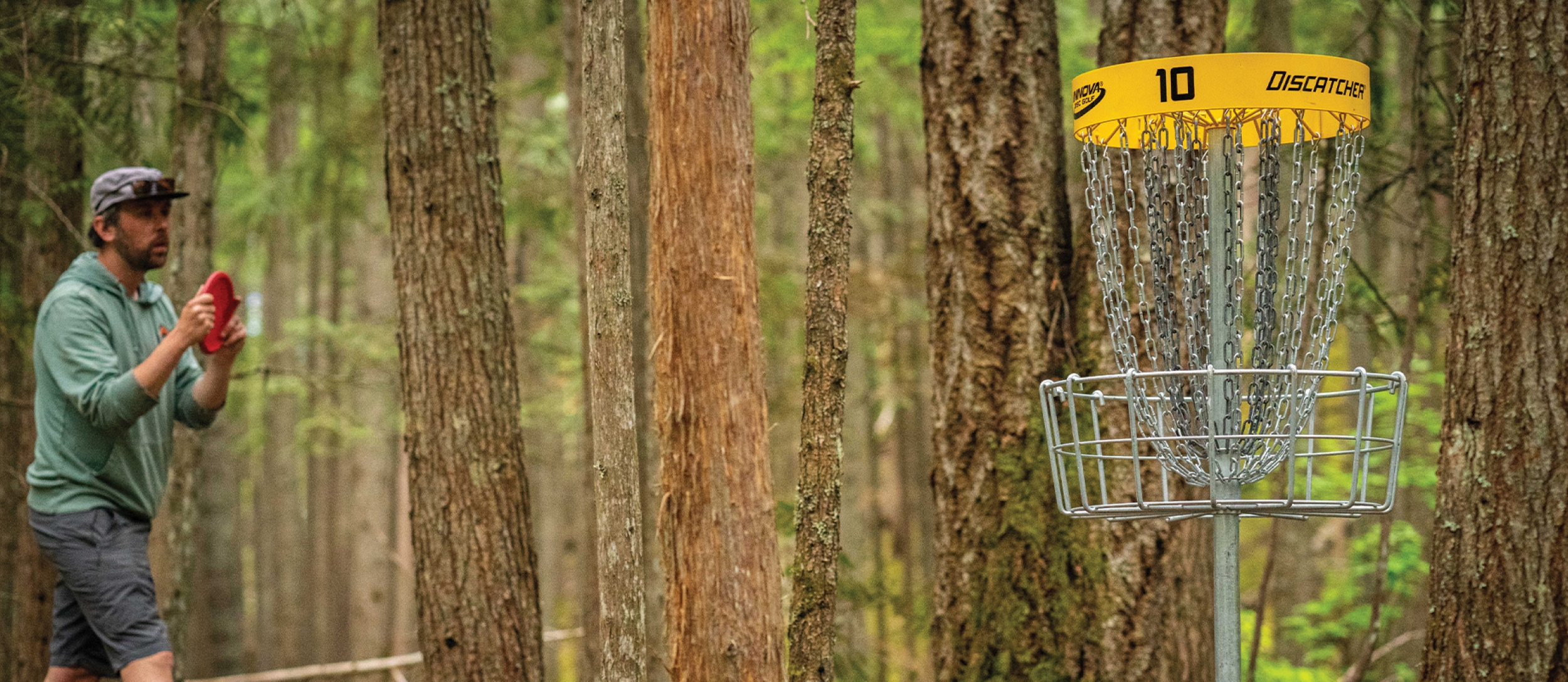 Man playing disc golf in Kaslo.