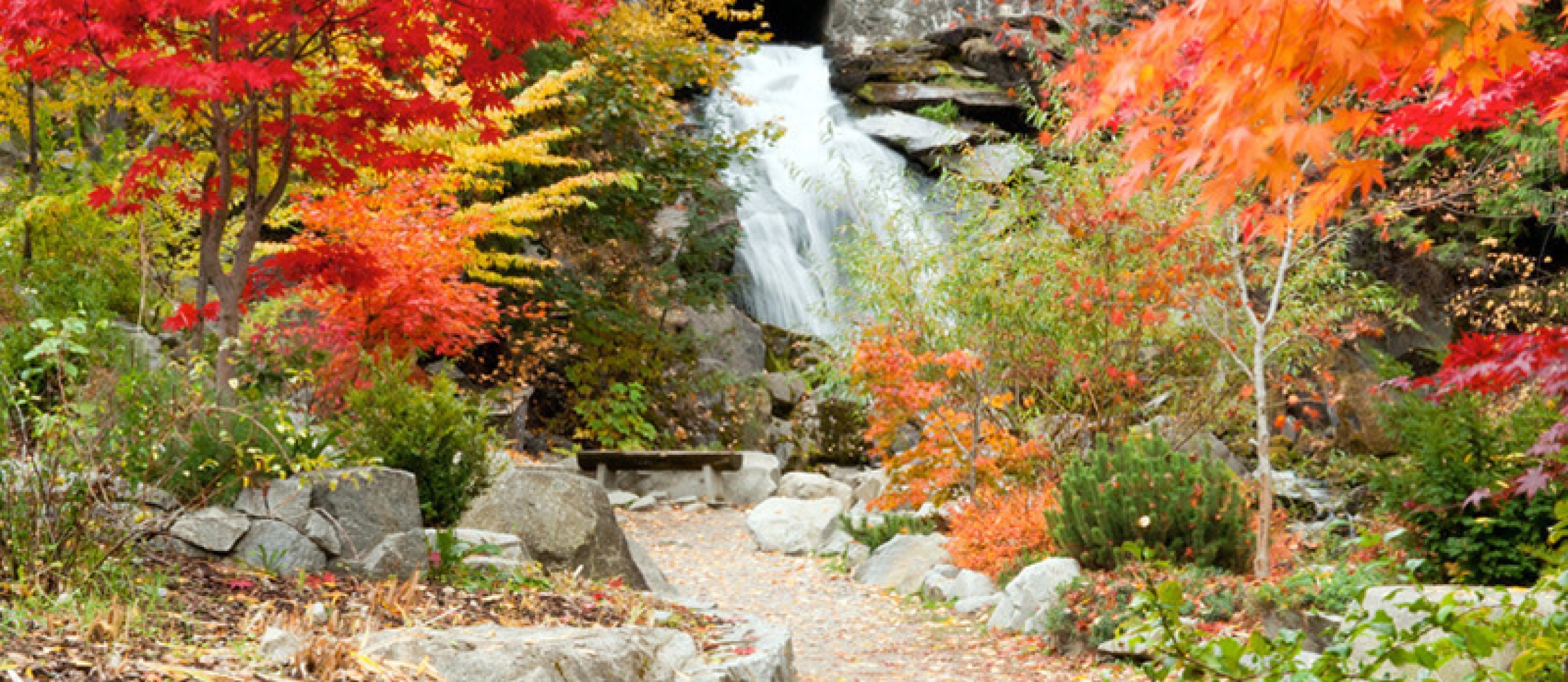 Cottonwood Falls Park