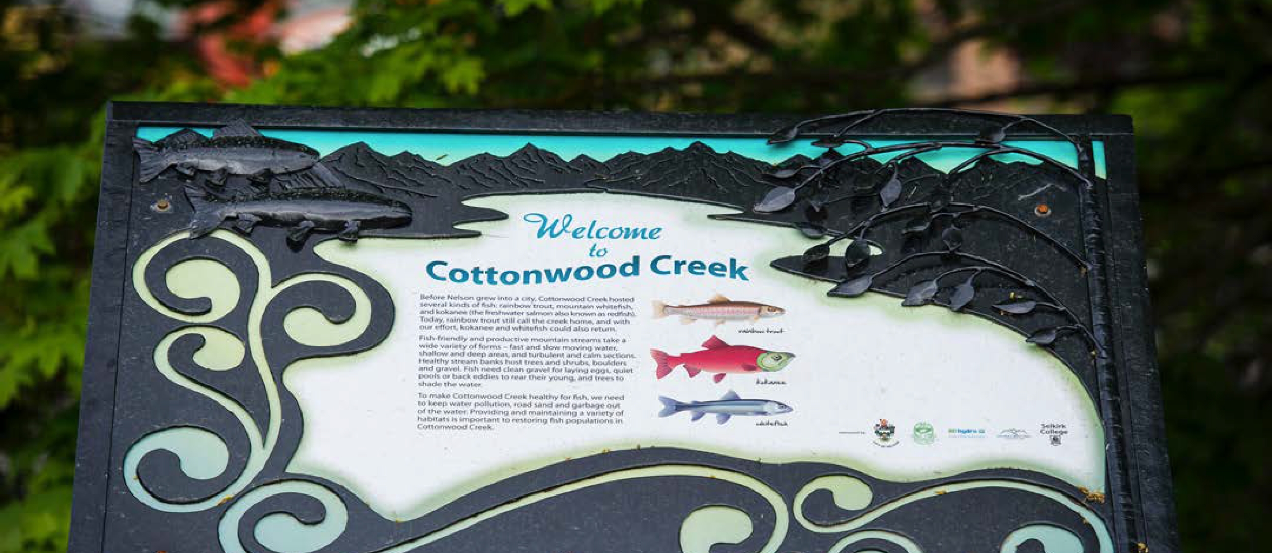 Cottonwood Creek Sign