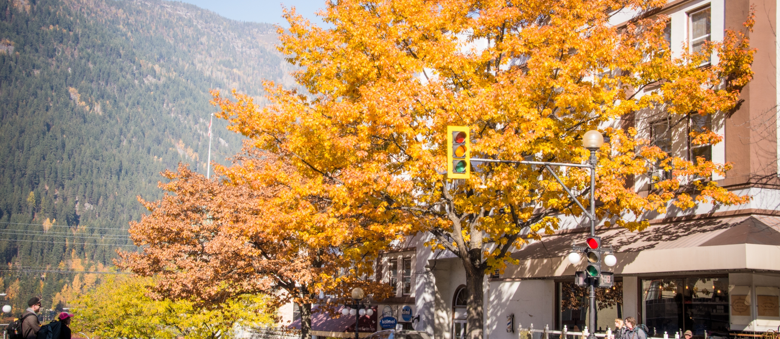 Autumn Leaves on Ward Street