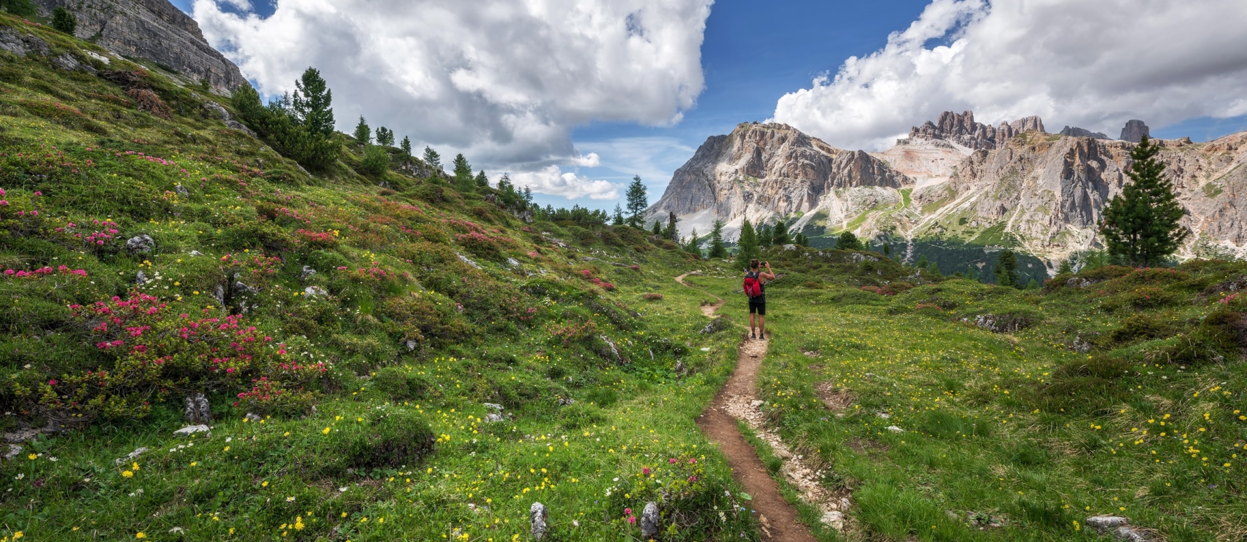 Mountain path on sunny day with lots of greenery, with person on path taking a photo of mountains beyond