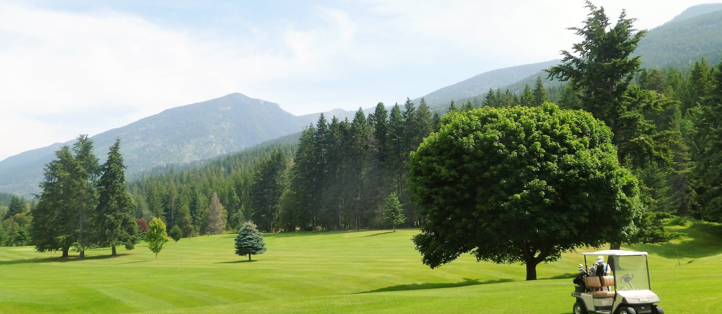 the greens, a tree and a golf cart at the Riondel Golf Club