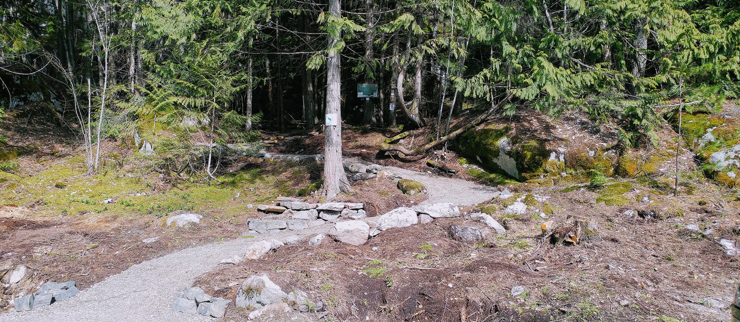 A portion of The Great Trail near Crawford Bay, BC